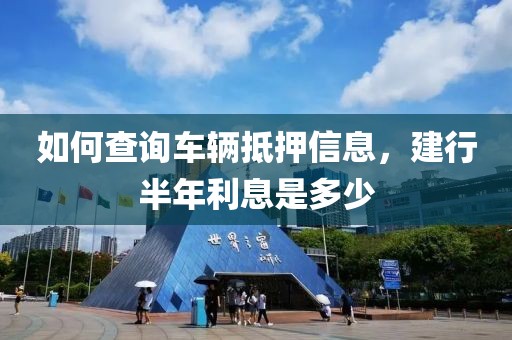 如何查询车辆抵押信息，建行半年利息是多少