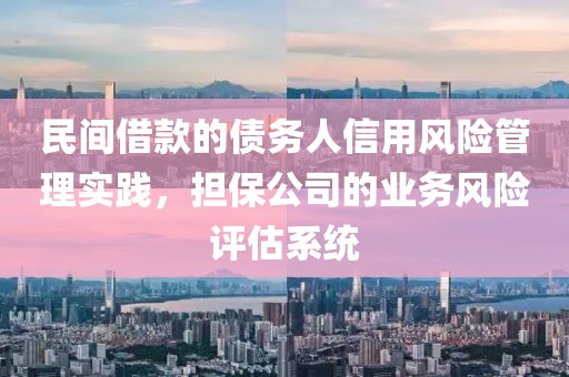 民间借款的债务人信用风险管理实践，担保公司的业务风险评估系统