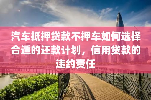 汽车抵押贷款不押车如何选择合适的还款计划，信用贷款的违约责任