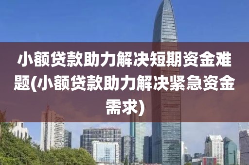 小额贷款助力解决短期资金难题(小额贷款助力解决紧急资金需求)