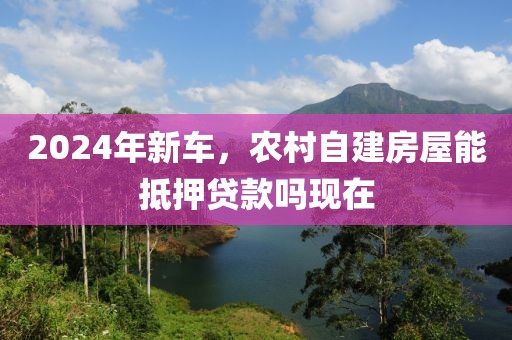 2024年新车，农村自建房屋能抵押贷款吗现在