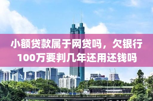 小额贷款属于网贷吗，欠银行100万要判几年还用还钱吗