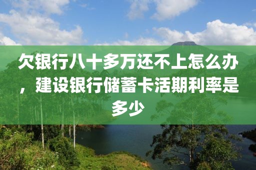 欠银行八十多万还不上怎么办，建设银行储蓄卡活期利率是多少