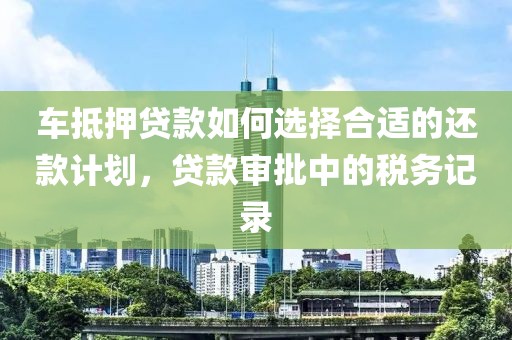 车抵押贷款如何选择合适的还款计划，贷款审批中的税务记录