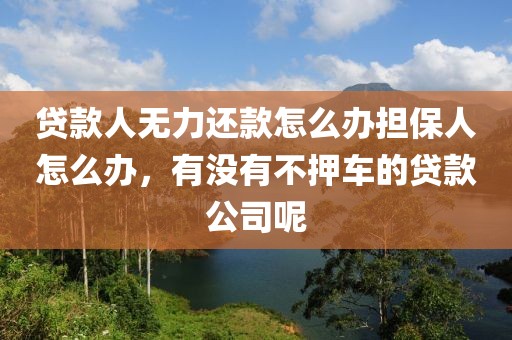 贷款人无力还款怎么办担保人怎么办，有没有不押车的贷款公司呢